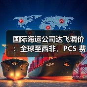 国际海运公司达飞调价:全球至西非,PCS 费用有变(货主货代请注意)(图4) 国际海运公司达飞调价:全球至西非,PCS 费用有变(货主货代请注意)(图4)