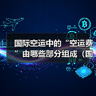 国际空运中的“空运费”由哪些部分组成(国际空运干货知识分享)(图3) 国际空运中的“空运费”由哪些部分组成(国际空运干货知识分享)(图3)