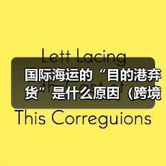 国际海运的“目的港弃货”是什么原因(跨境电商卖家如何避免)(图4) 国际海运的“目的港弃货”是什么原因(跨境电商卖家如何避免)(图4)