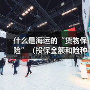 什么是海运的“货物保险”（投保金额和险种如何选择）