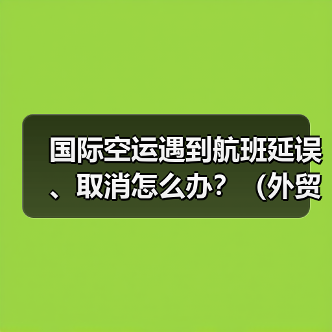 国际空运遇到航班延误、取消怎么办？（外贸人如何减少损失）（图4）