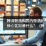 跨境物流和国内物流的核心区别是什么？（跨境电商新手卖家必看！）（图2）
