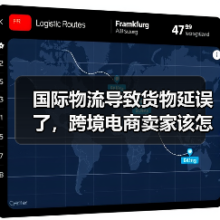 国际物流导致货物延误了，跨境电商卖家该怎么办？（图4）