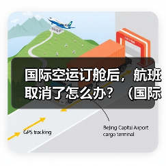国际空运订舱后，航班取消了怎么办？（国际货代需要重新安排吗）