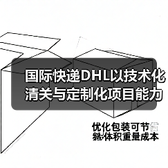 国际快递DHL以技术化清关与定制化项目能力(定义国际物流行业新标杆)(图4) 国际快递DHL以技术化清关与定制化项目能力(定义国际物流行业新标杆)(图4)