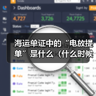 海运单证中的“电放提单”是什么(什么时候需要用电放)(图3) 海运单证中的“电放提单”是什么(什么时候需要用电放)(图3)