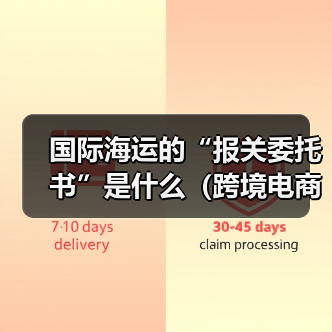 国际海运的“报关委托书”是什么(跨境电商卖家如何办理)(图4) 国际海运的“报关委托书”是什么(跨境电商卖家如何办理)(图4)