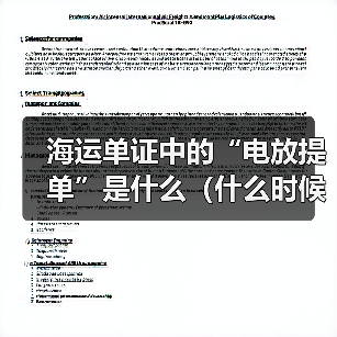 海运单证中的“电放提单”是什么(什么时候需要用电放)(图2) 海运单证中的“电放提单”是什么(什么时候需要用电放)(图2)