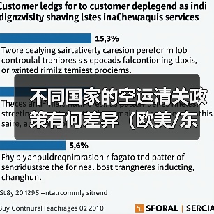 不同国家的空运清关政策有何差异（欧美/东南亚重点注意）