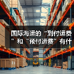 国际海运的“到付运费”和“预付运费”有什么区别?(跨境电商卖家需要注意哪些风险)(图4) 国际海运的“到付运费”和“预付运费”有什么区别?(跨境电商卖家需要注意哪些风险)(图4)
