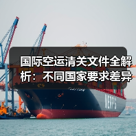 国际空运清关文件全解析:不同国家要求差异大?(图4) 国际空运清关文件全解析:不同国家要求差异大?(图4)
