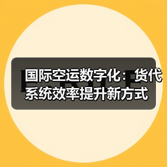 国际空运数字化:货代系统效率提升新方式(图4) 国际空运数字化:货代系统效率提升新方式(图4)