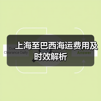 上海至巴西海运费用及时效解析 上海至巴西海运费用及时效解析