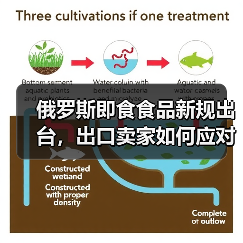 俄罗斯即食食品新规出台,出口卖家如何应对?(图2) 俄罗斯即食食品新规出台,出口卖家如何应对?(图2)