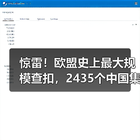 惊雷!欧盟史上最大规模查扣,2435个中国集装箱被封!(图4) 惊雷!欧盟史上最大规模查扣,2435个中国集装箱被封!(图4)