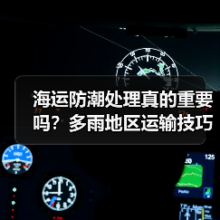 海运防潮处理真的重要吗？多雨地区运输技巧揭秘