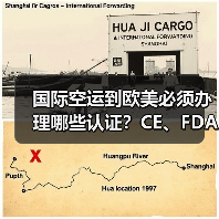 国际空运到欧美必须办理哪些认证?CE、FDA清关影响大吗?(图4) 国际空运到欧美必须办理哪些认证?CE、FDA清关影响大吗?(图4)