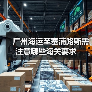 广州海运至塞浦路斯需注意哪些海关要求 广州海运至塞浦路斯需注意哪些海关要求