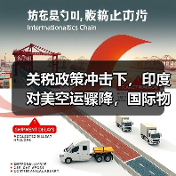 关税政策冲击下，印度对美空运骤降，国际物流格局如何变？（图4）