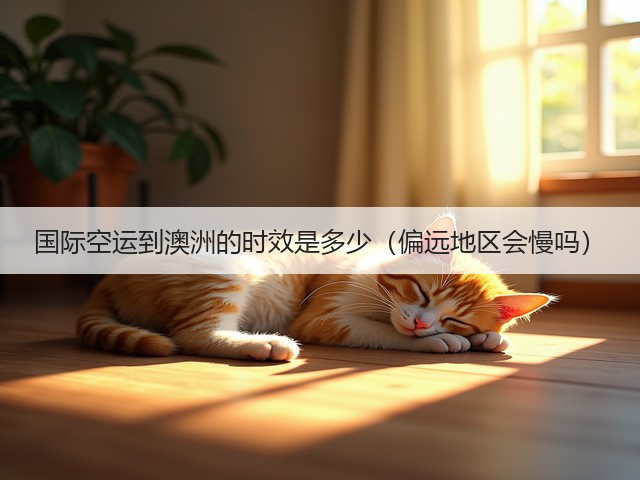 国际空运到澳洲的时效是多少(偏远地区会慢吗)(图1) 国际空运到澳洲的时效是多少(偏远地区会慢吗)(图1)