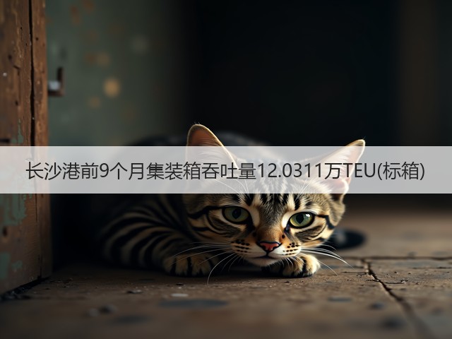 长沙港前9个月集装箱吞吐量12.0311万TEU(标箱)(图2)