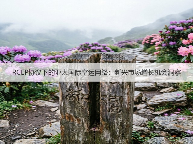 RCEP协议下的亚太国际空运网络：新兴市场增长机会洞察(图3)