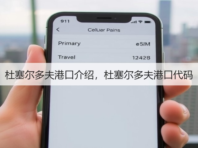 杜塞尔多夫港口介绍，杜塞尔多夫港口代码(图1)