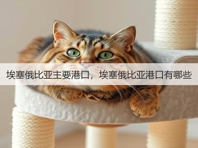 埃塞俄比亚主要港口，埃塞俄比亚港口有哪些(图2)