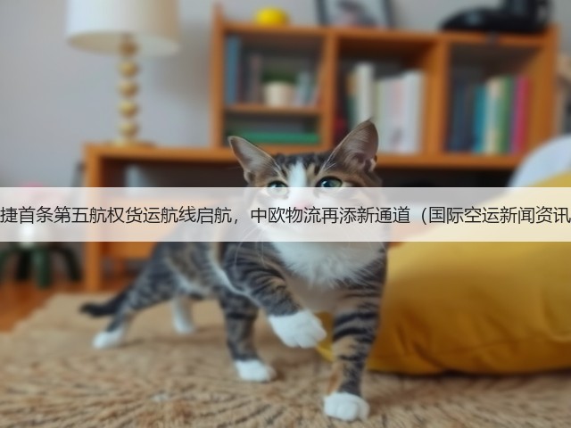 中捷首条第五航权货运航线启航，中欧物流再添新通道（国际空运新闻资讯）(图3)