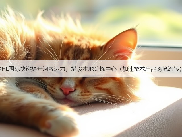 DHL国际快递提升河内运力，增设本地分拣中心（加速技术产品跨境流转）(图1)