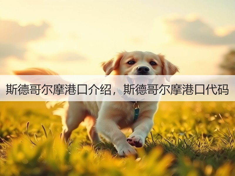 斯德哥尔摩港口介绍，斯德哥尔摩港口代码