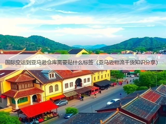 国际空运到亚马逊仓库需要贴什么标签（亚马逊物流干货知识分享）(图2)