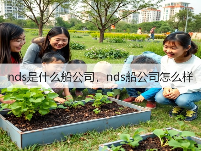 nds是什么船公司，nds船公司怎么样(图3)