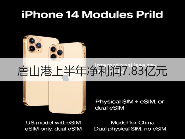 唐山港上半年净利润7.83亿元(图3)