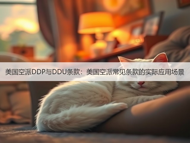 美国空派DDP与DDU条款:美国空派常见条款的实际应用场景(图1) 美国空派DDP与DDU条款:美国空派常见条款的实际应用场景(图1)