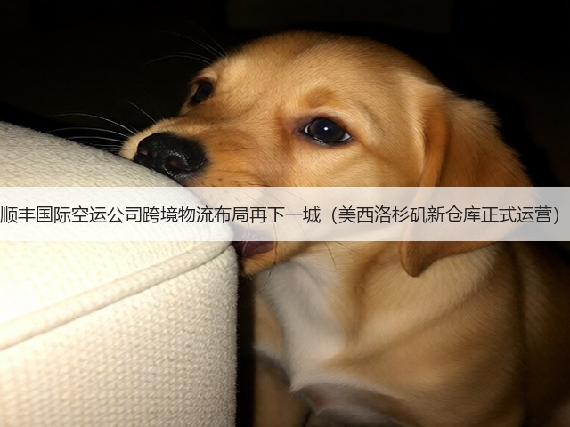 顺丰国际空运公司跨境物流布局再下一城(美西洛杉矶新仓库正式运营)(图3) 顺丰国际空运公司跨境物流布局再下一城(美西洛杉矶新仓库正式运营)(图3)