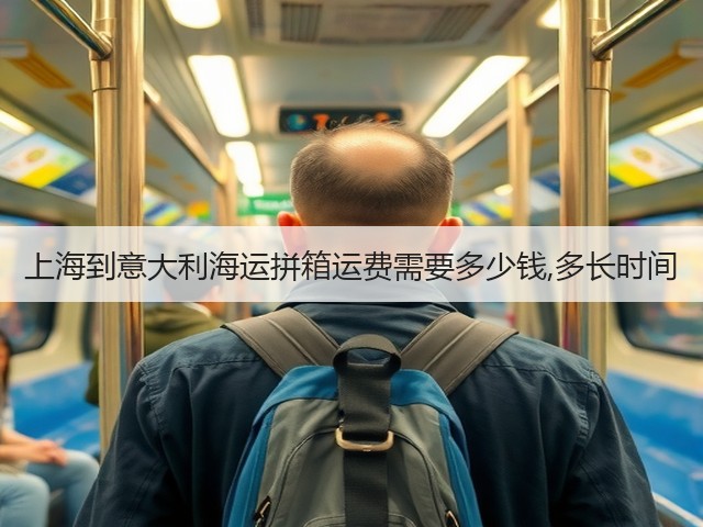 上海到意大利海运拼箱运费需要多少钱,多长时间(图1)