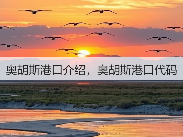 奥胡斯港口介绍,奥胡斯港口代码(图3) 奥胡斯港口介绍,奥胡斯港口代码(图3)