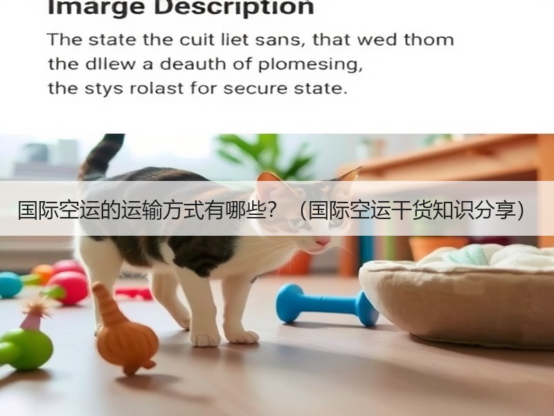 国际空运的运输方式有哪些？（国际空运干货知识分享）