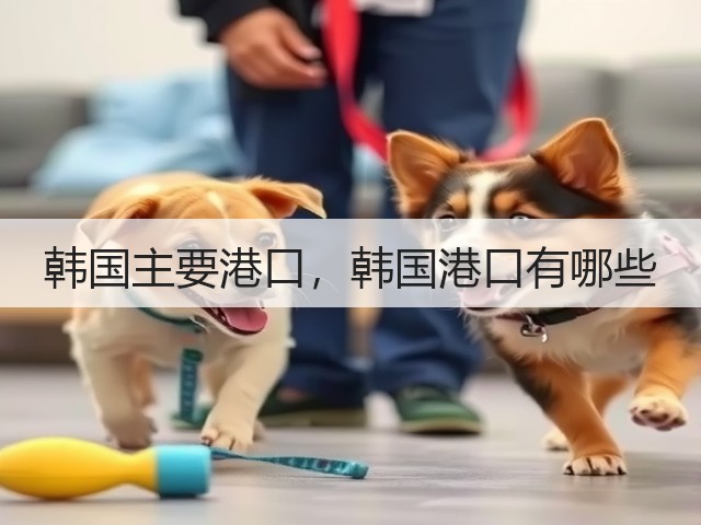 韩国主要港口，韩国港口有哪些(图1)