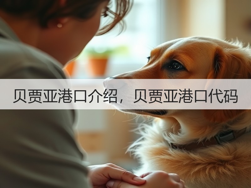 贝贾亚港口介绍，贝贾亚港口代码