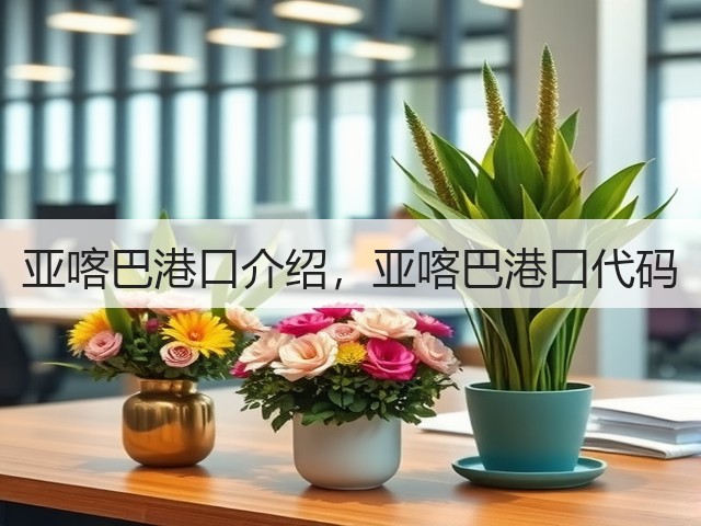 亚喀巴港口介绍，亚喀巴港口代码(图1)