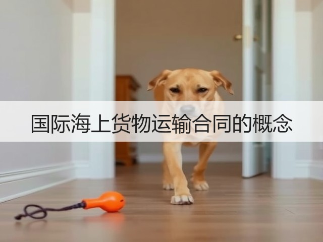 国际海上货物运输合同的概念(图1) 国际海上货物运输合同的概念(图1)