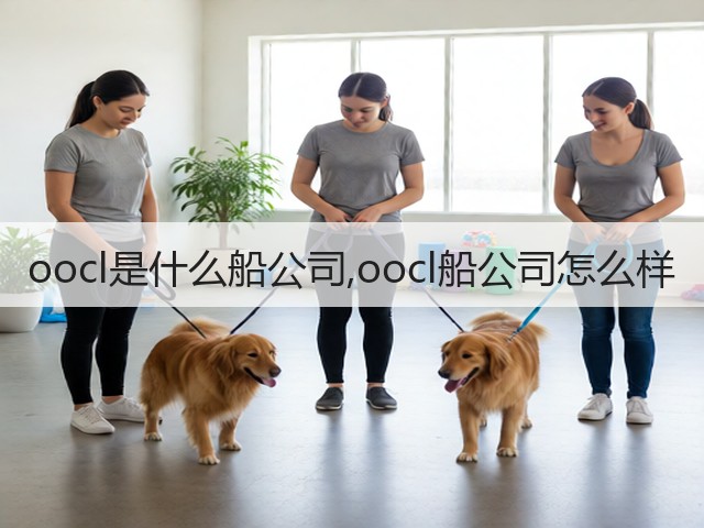 oocl是什么船公司,oocl船公司怎么样(图2)