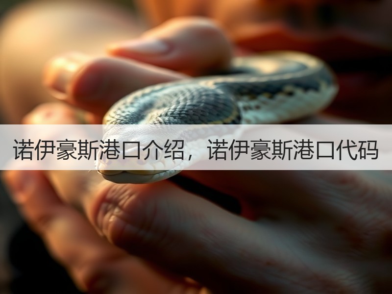诺伊豪斯港口介绍,诺伊豪斯港口代码 诺伊豪斯港口介绍,诺伊豪斯港口代码