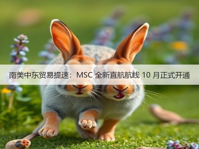 南美中东贸易提速:MSC 全新直航航线 10 月正式开通(图2) 南美中东贸易提速:MSC 全新直航航线 10 月正式开通(图2)