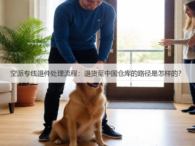 空派专线退件处理流程:退货至中国仓库的路径是怎样的?(图3) 空派专线退件处理流程:退货至中国仓库的路径是怎样的?(图3)