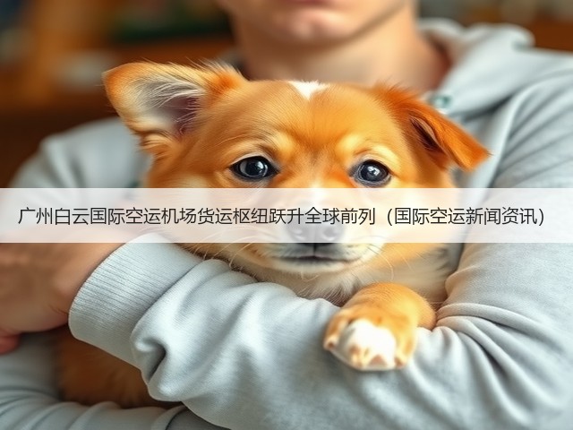 广州白云国际空运机场货运枢纽跃升全球前列(国际空运新闻资讯)(图3) 广州白云国际空运机场货运枢纽跃升全球前列(国际空运新闻资讯)(图3)