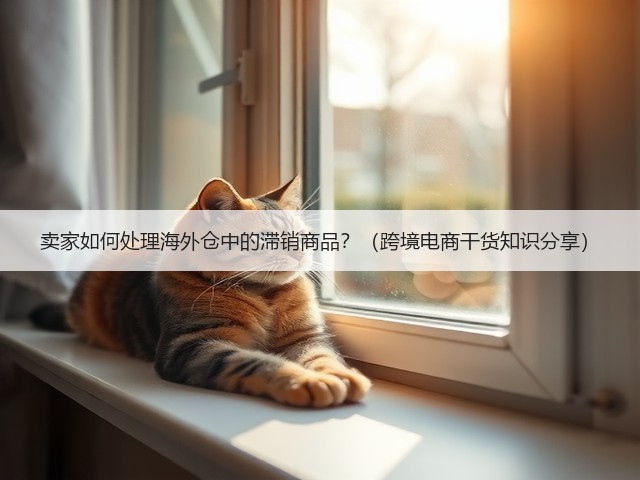 卖家如何处理海外仓中的滞销商品？（跨境电商干货知识分享）(图1)