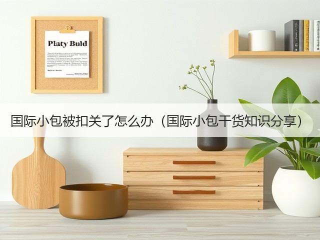国际小包被扣关了怎么办（国际小包干货知识分享）(图3)